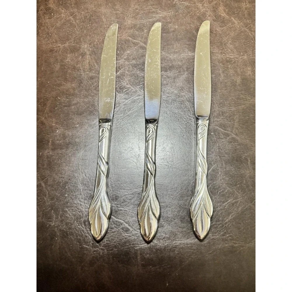 Oneida eden stainless